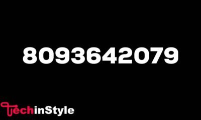 8093642079